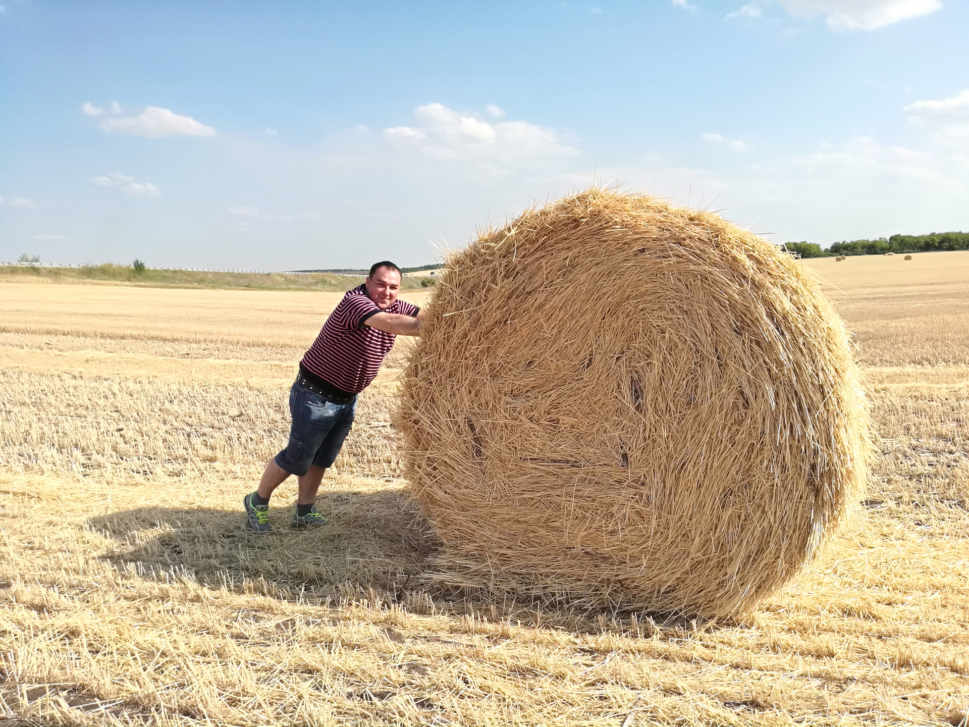 Искать в поле