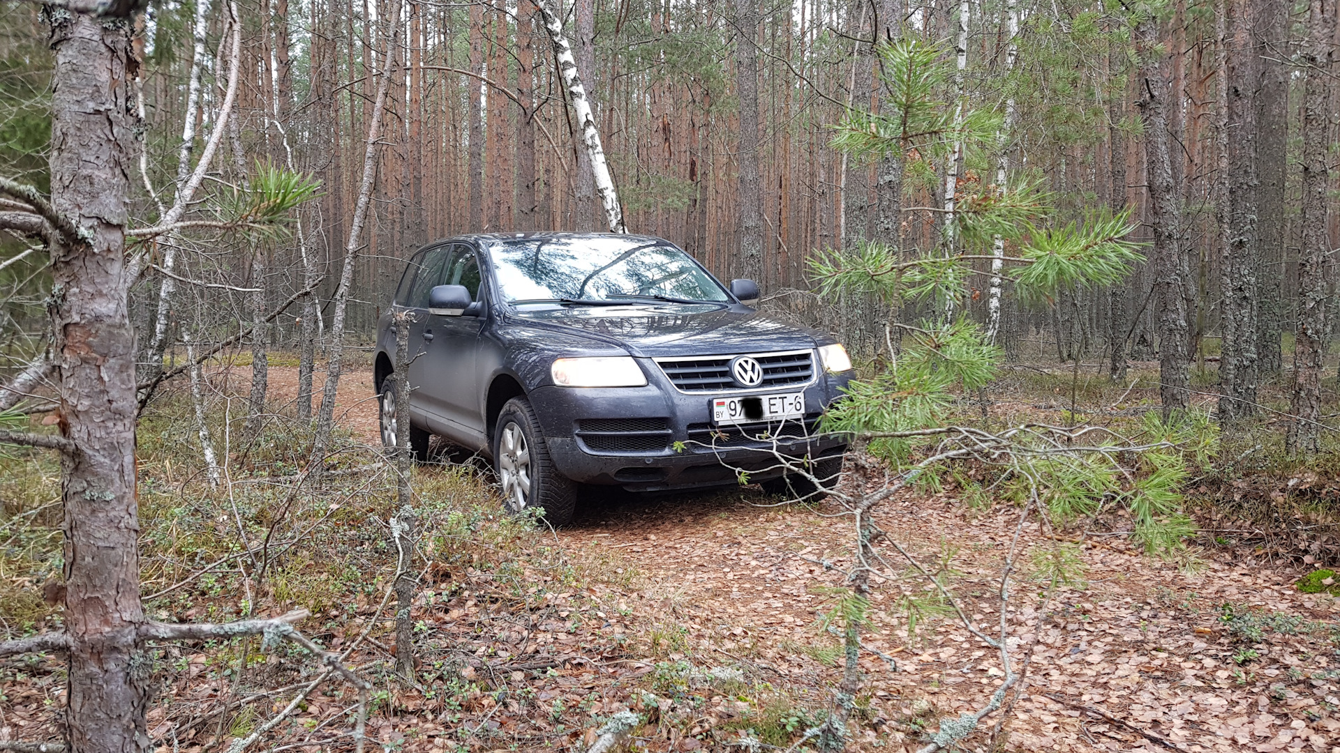 Volkswagen Touareg (1G) 3.0 дизельный 2006 | V6 3.0 TDI BKS на DRIVE2