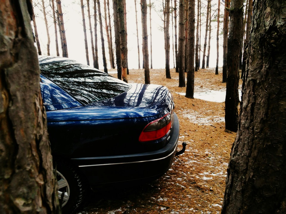 Тихо в лесу, только не спит… — Lada Приора хэтчбек, 1,6 л, 2008 года ...