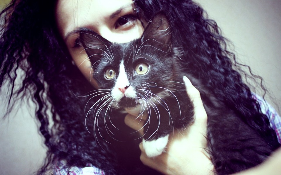 Усы, лапы и хвост — Новый член семьи, Киса. — DRIVE2