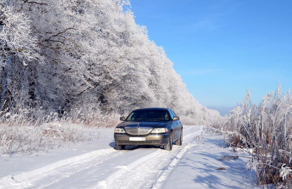 Рядом с лесом старые Колхозные поля, которые уже лет 20 ни чем не засевают. Поля разделены Дубовыми посадками, вдоль которых прокатана грунтовая дорога, по которой я и путешествовал)))) — Lincoln Town Car III