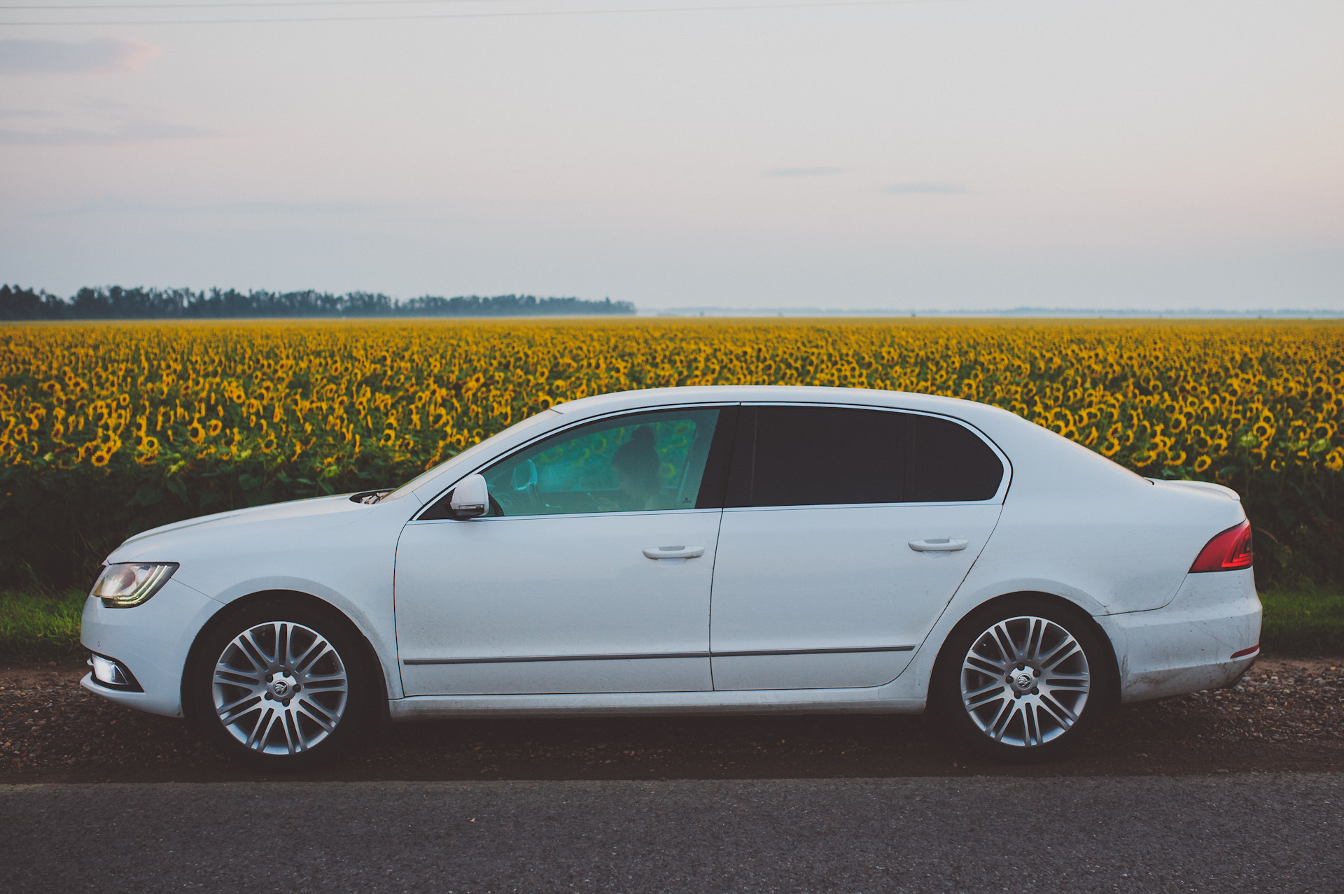 Суперб 2. Skoda Superb 2. Шкода Суперб 2 белый. Skoda Superb 2014 белая. Шкода Суперб 2014.