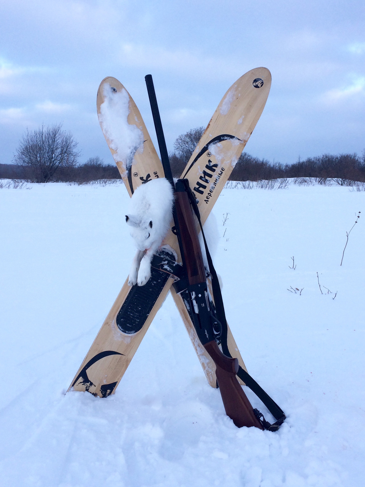 охотничьи лыжи. охота на лыжах зимой. охотник на лыжах. зимние лыжи охотничьи. лыжи широкие охотничьи.