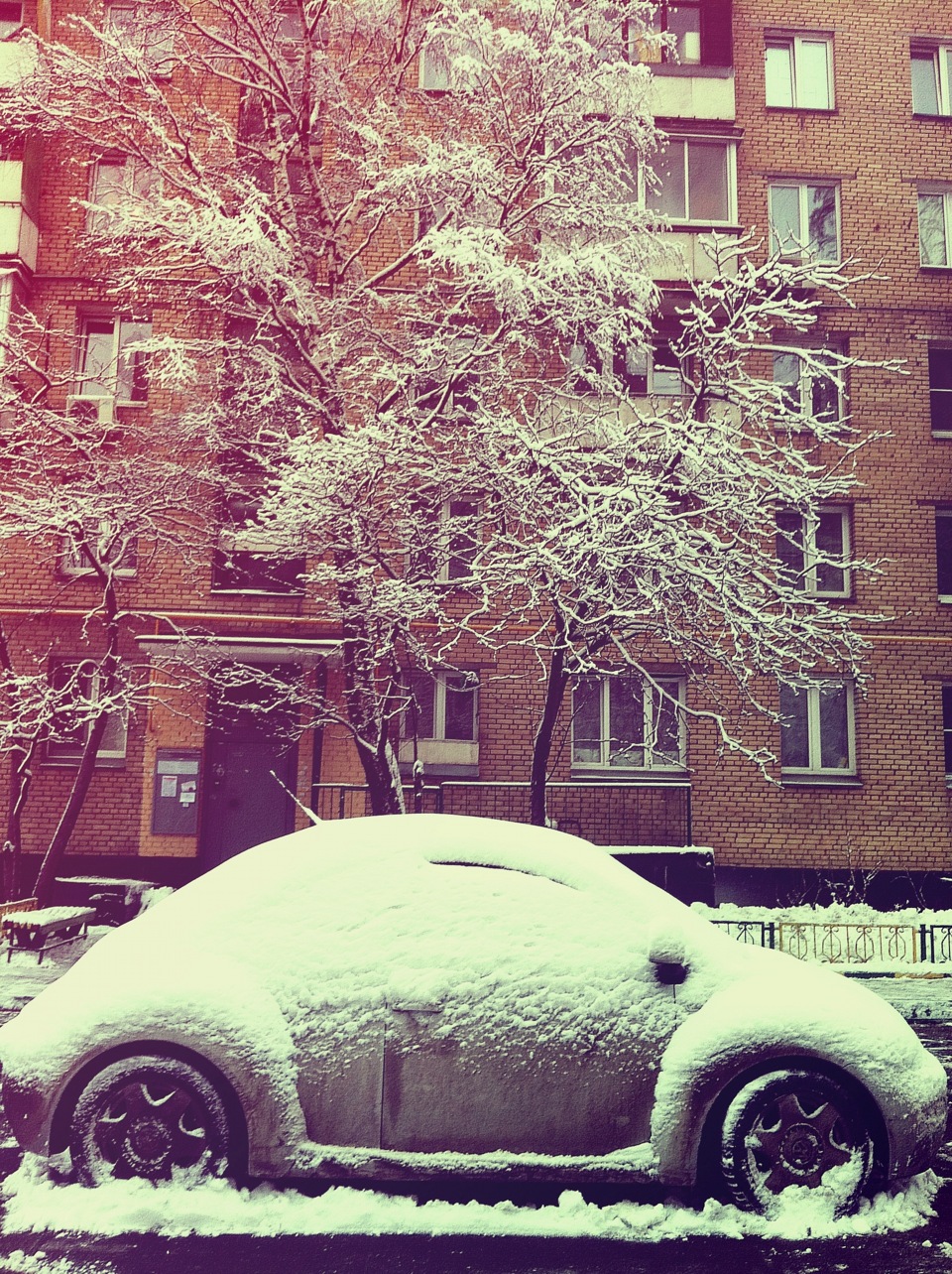 Грязный жужик:) — Volkswagen New Beetle, 2 л, 2000 года | мойка | DRIVE2