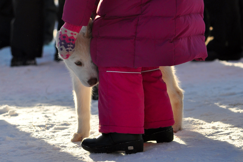 Няшность, переходящая в мимимишность — Jeep Grand Cherokee (ZJ)