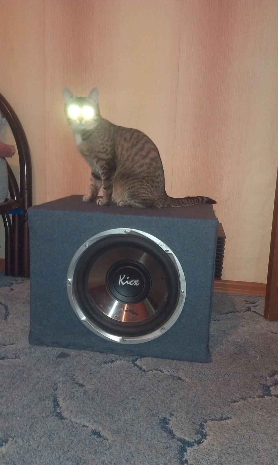 Новая жизнь старому сабу) — Daewoo Nexia (N150), 1,6 л, 2010 года ...