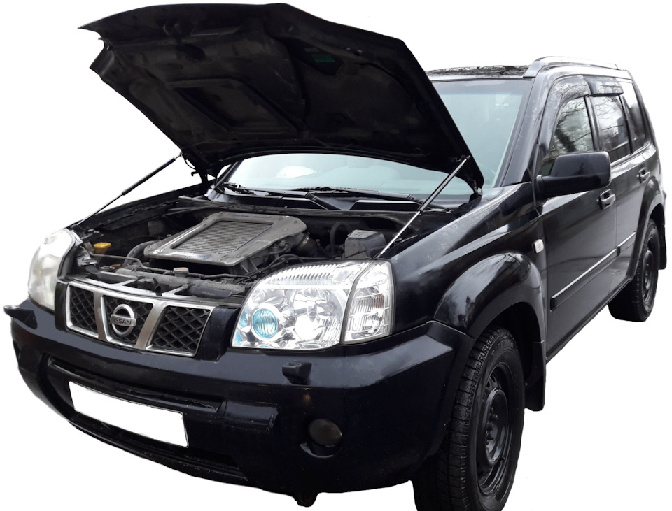 Газовый упор капота Nissan X-Trail T30 (00 — 07 г.в.) — Autoinnovation ...