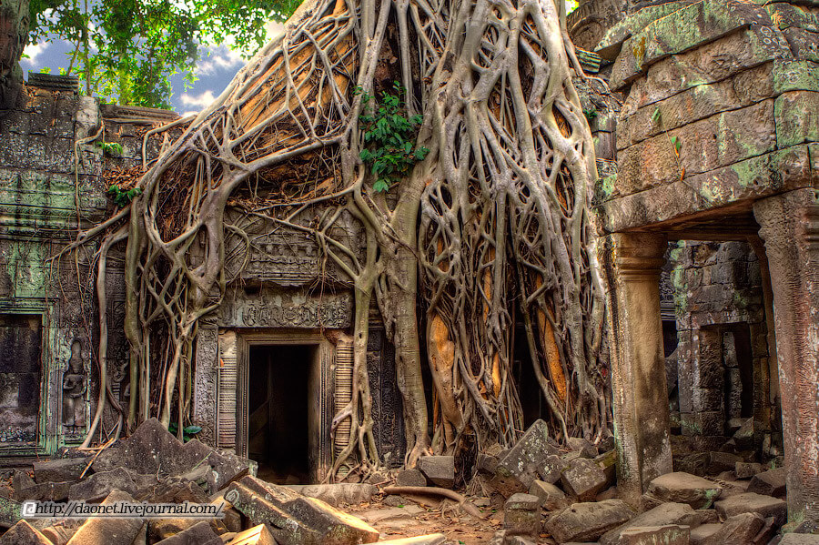 Камбоджа город в джунглях