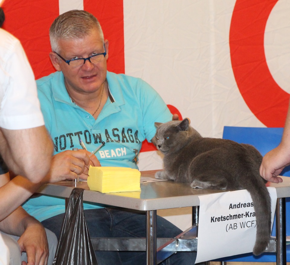 Кот Епифан в отпуске. Часть первая — байки.:-) — DRIVE2