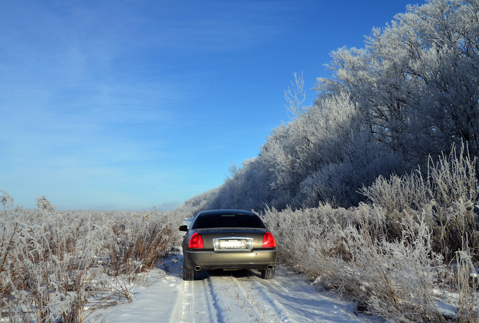 Все поля заросли каким-то бурьяном. Некоторые растения выше машины)))) Но на поле полно следов от снегоходов и квадроциклов!) — Lincoln Town Car III