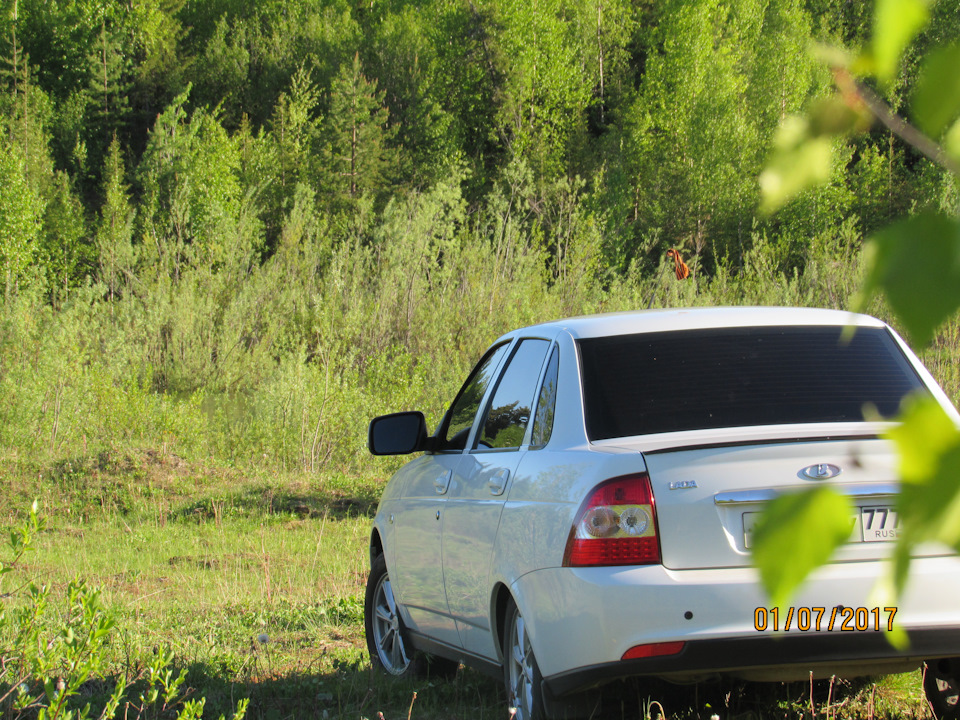 Lada на природе