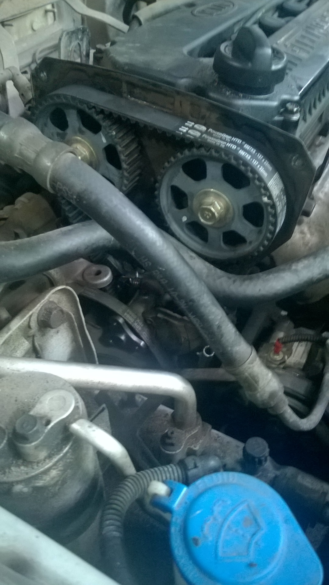 Gates 5567 xs. 6. Ремень грм кия спектра 1. 6. 6 артикул.