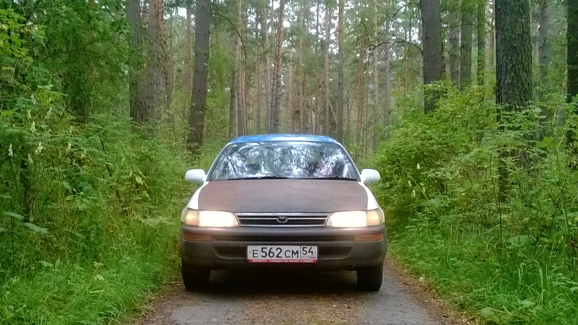 Toyota Corolla (100) 1.5 бензиновый 1993 | Van ЕЕ107/ Алиса на DRIVE2