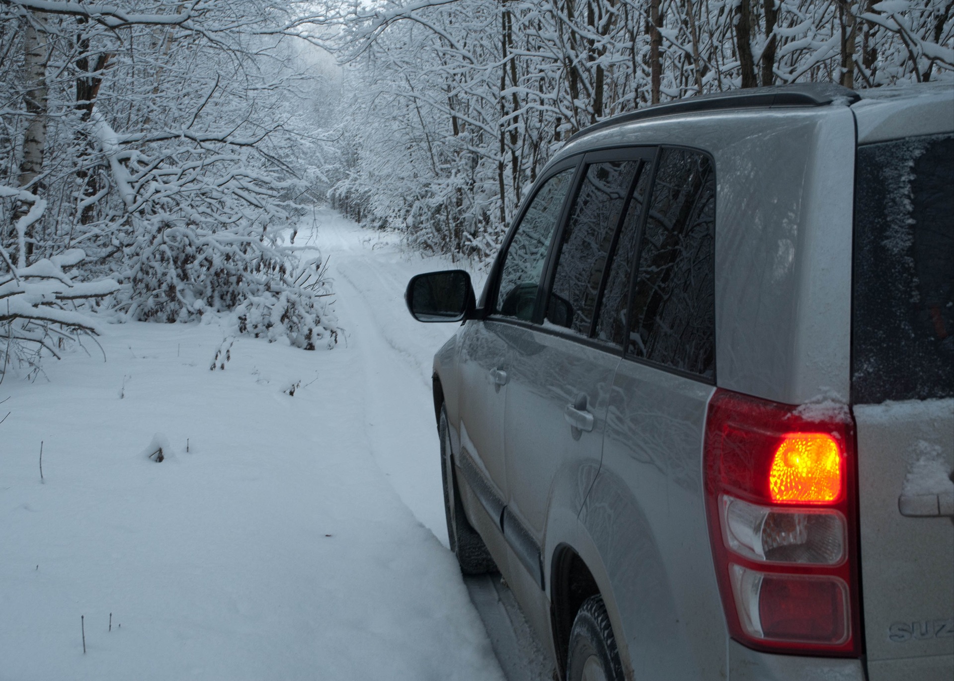 Зимний лес — Suzuki Grand Vitara (2G), 2,4 л, 2010 года | покатушки | DRIVE2