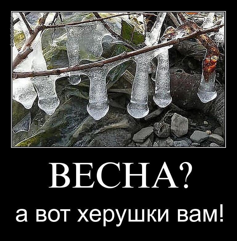 Смешные картинки на 1 марта
