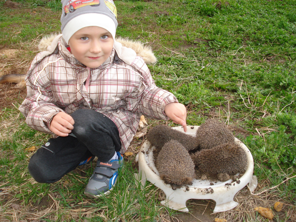 стеклоподъемник газ 31105 передний правый. Смотреть фото стеклоподъемник газ 31105 передний правый. Смотреть картинку стеклоподъемник газ 31105 передний правый. Картинка про стеклоподъемник газ 31105 передний правый. Фото стеклоподъемник газ 31105 передний правый стеклоподъемник газ 31105 передний правый. Смотреть фото стеклоподъемник газ 31105 передний правый. Смотреть картинку стеклоподъемник газ 31105 передний правый. Картинка про стеклоподъемник газ 31105 передний правый. Фото стеклоподъемник газ 31105 передний правый