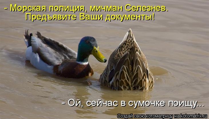 Рубиновой, прикольные картинки с уткой и надписями