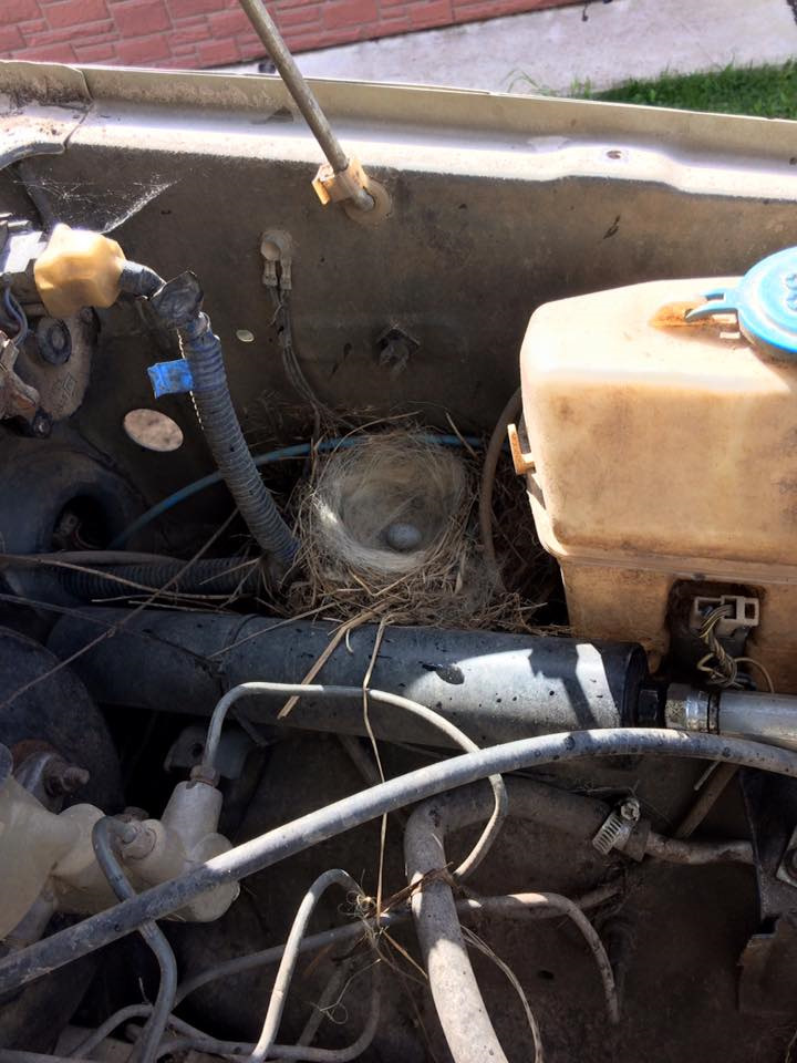 2 — Suzuki Jimny (1G)