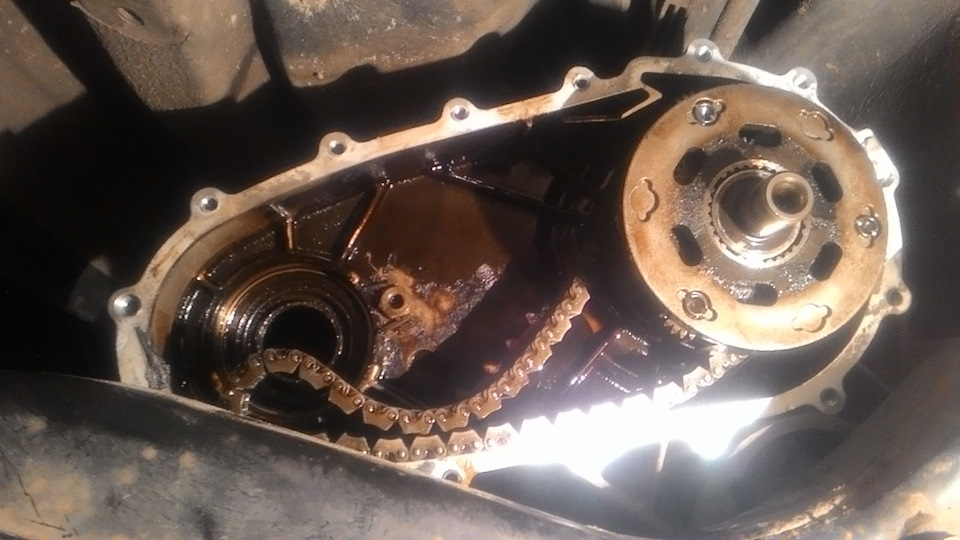 Фото в бортжурнале BMW X5 (E53)