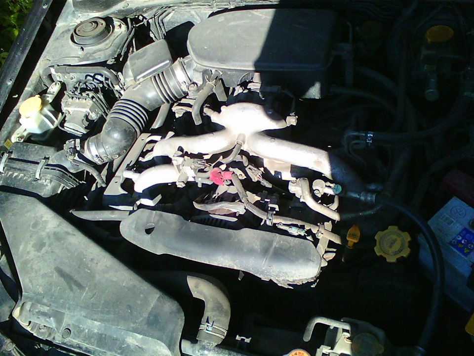 Чистый двигатель — Subaru Impreza (GE, GH), 1,5 л, 2008 года | мойка ...