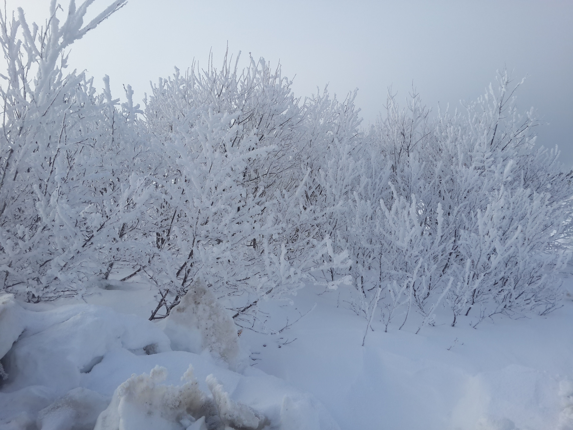 Природа зима Смирных фото Сахалинская область