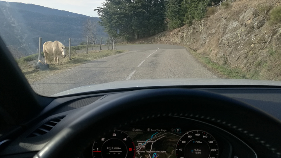По пути домой. Лошадка офигивает от такого божественного расхода :D — Audi A4 (B9)