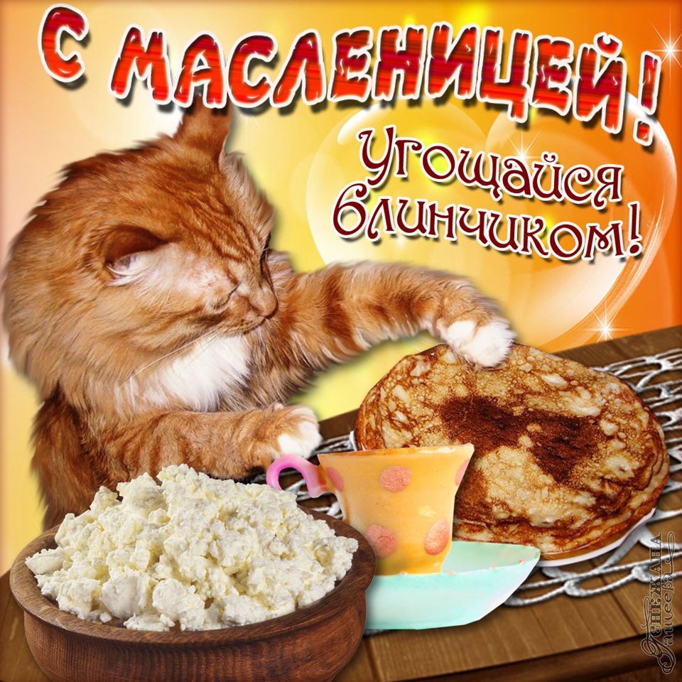 Моя кулинария — 