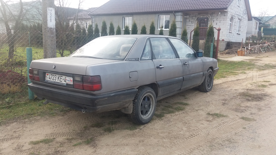 Матовая ауди — Audi 100 (C3), 1,9 л, 1984 года | просто так | DRIVE2