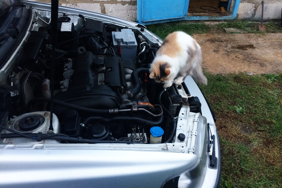 Механик подумав выдал что это концевик капота завязаный к штатной сигнализации. — Volvo S40 (1G)