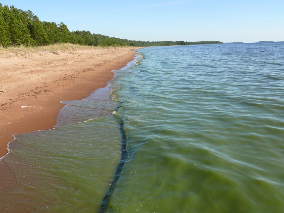 Село Видлица на Ладожском озере