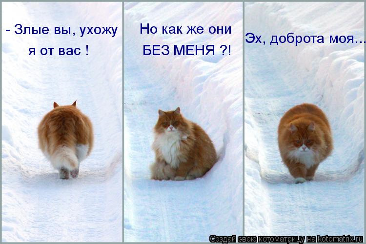 Картинки с надписями злые вы, открыток хочу