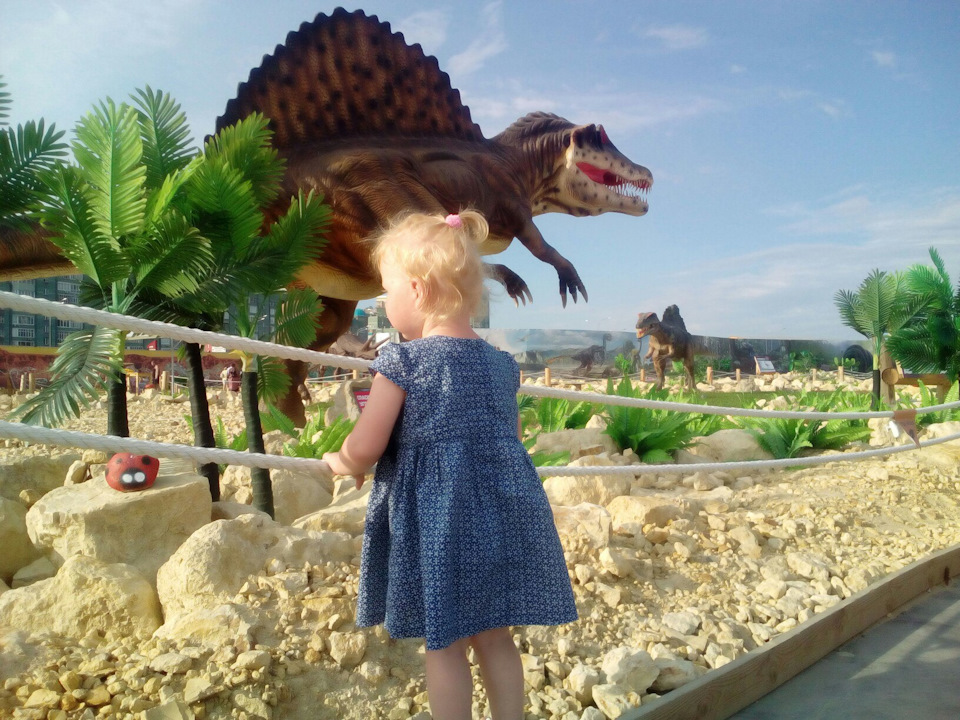 Фото в бортжурнале Renault Symbol