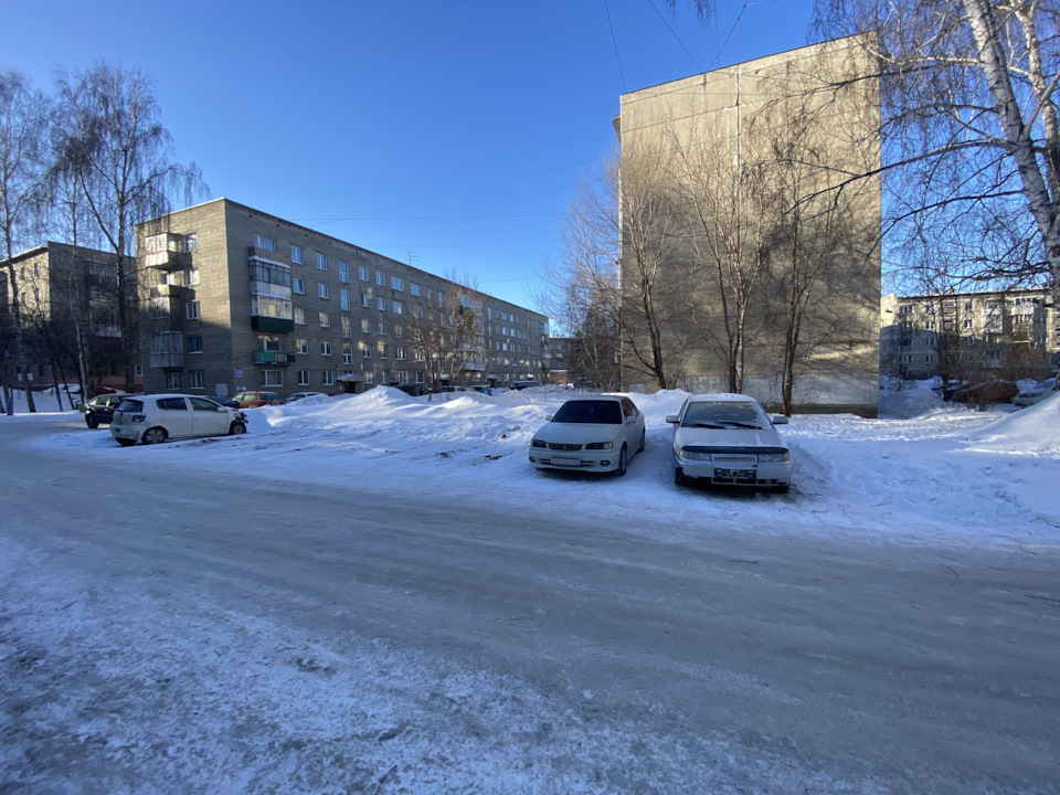 Король лев 2 гордость симбы муфаса. Король лев элизабет рудник книга. Король лев 2 книга. Читать корол. Король и королева арт.