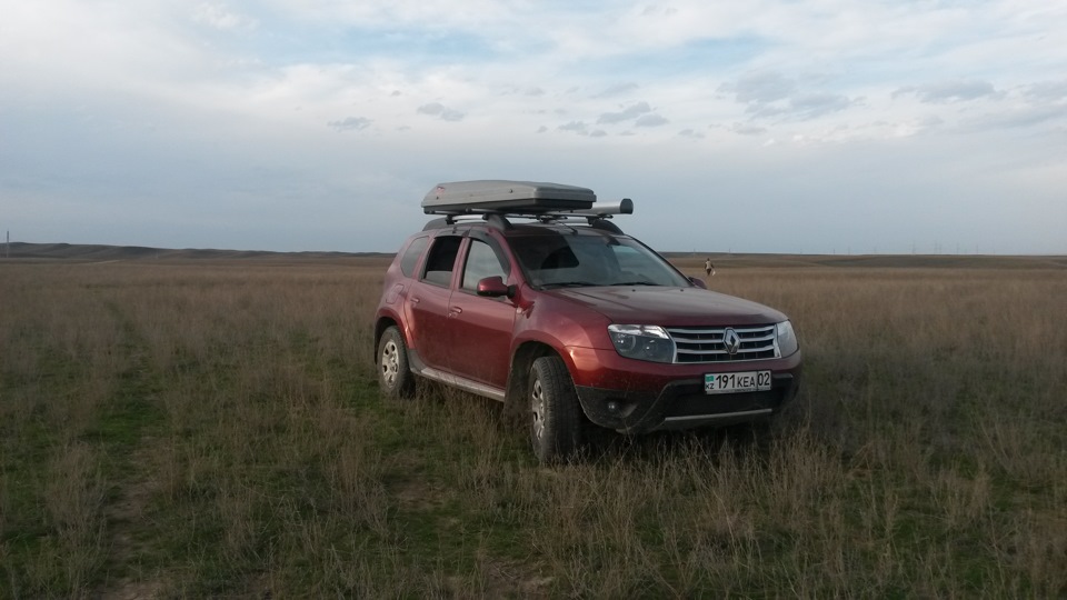 по грибы — Renault Duster (1G), 2 л, 2014 года | путешествие | DRIVE2