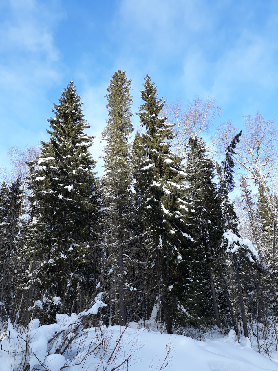 Фото в бортжурнале Chevrolet Cruze Station Wagon