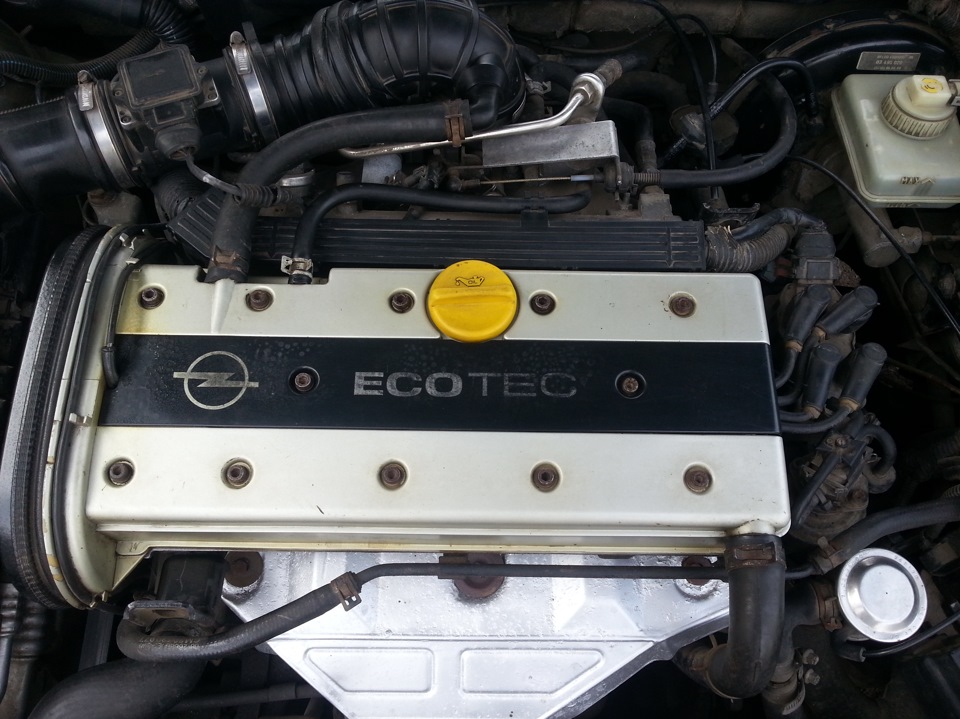 Заменил крышку маслозаливной горловины двигателя. — Opel Vectra B, 1,8 ...