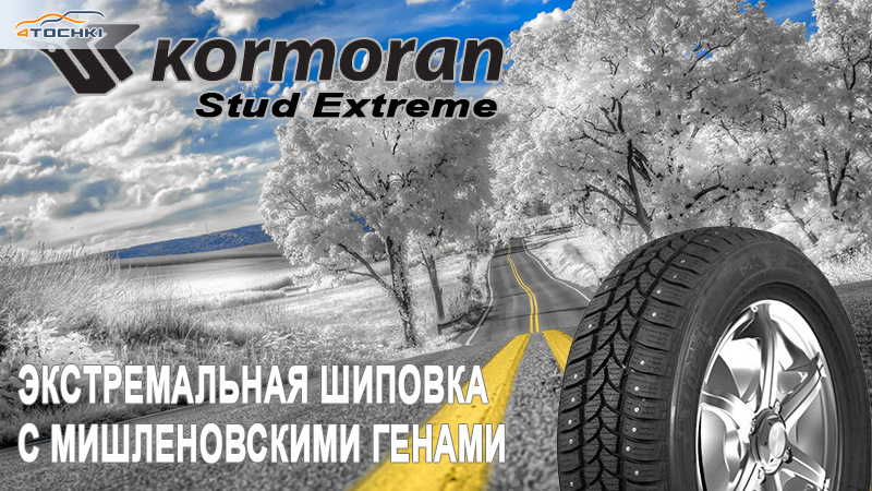Kormoran Stud Extreme – экстремальная шиповка с мишленовскими генами ...