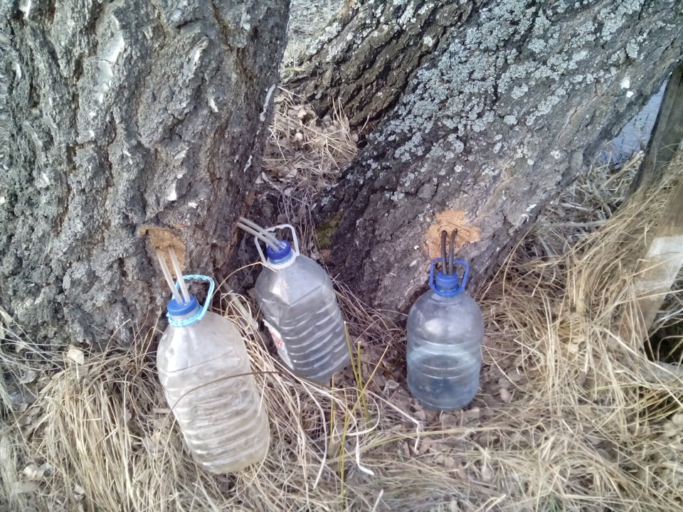 Открытие дачного сезона:ВЕСНА-ЛЕТО! — DRIVE2