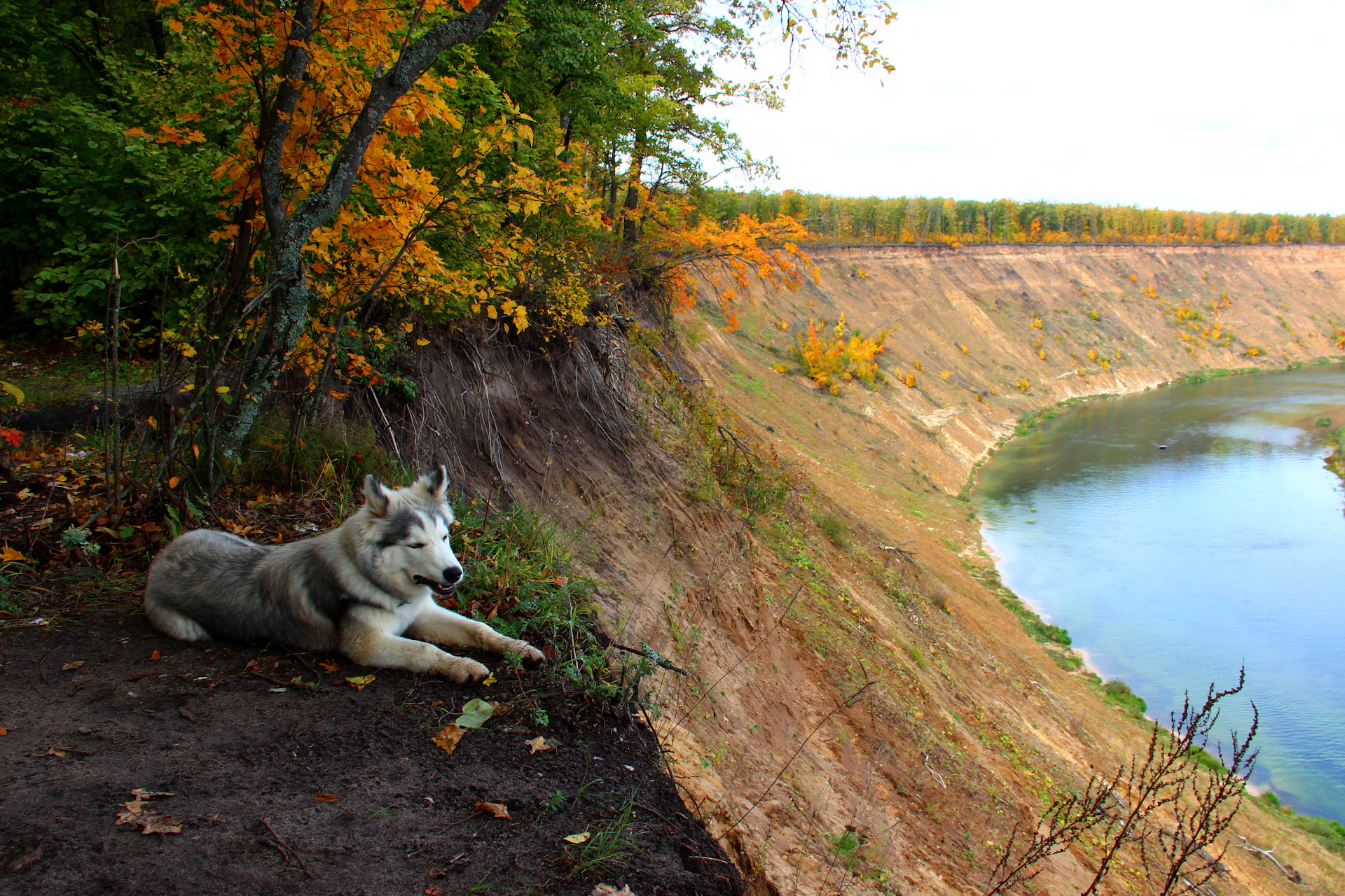 пляж в кривоборье