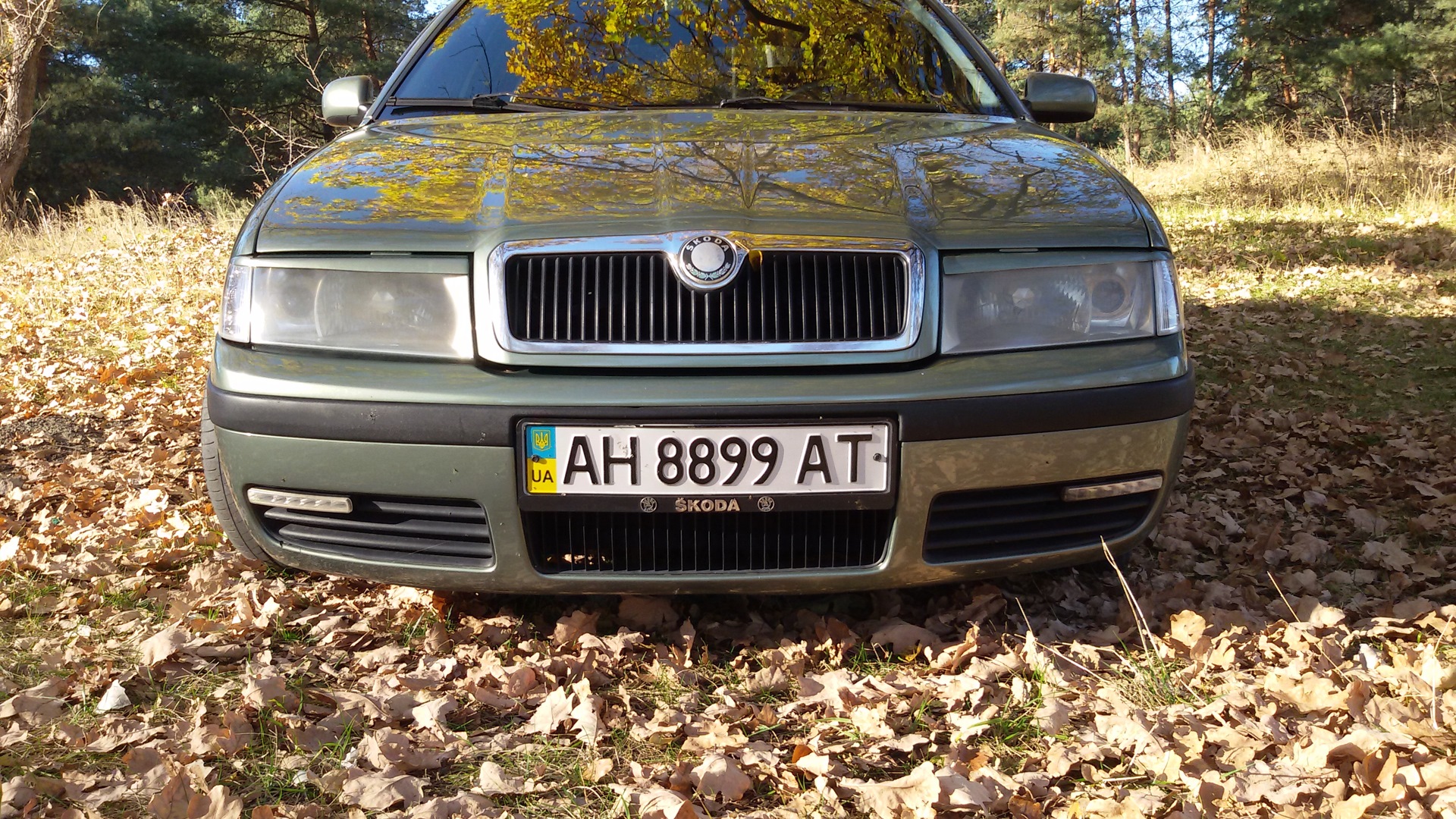 Skoda Octavia A4 Mk1 2.0 бензиновый 2001 | 2.0 