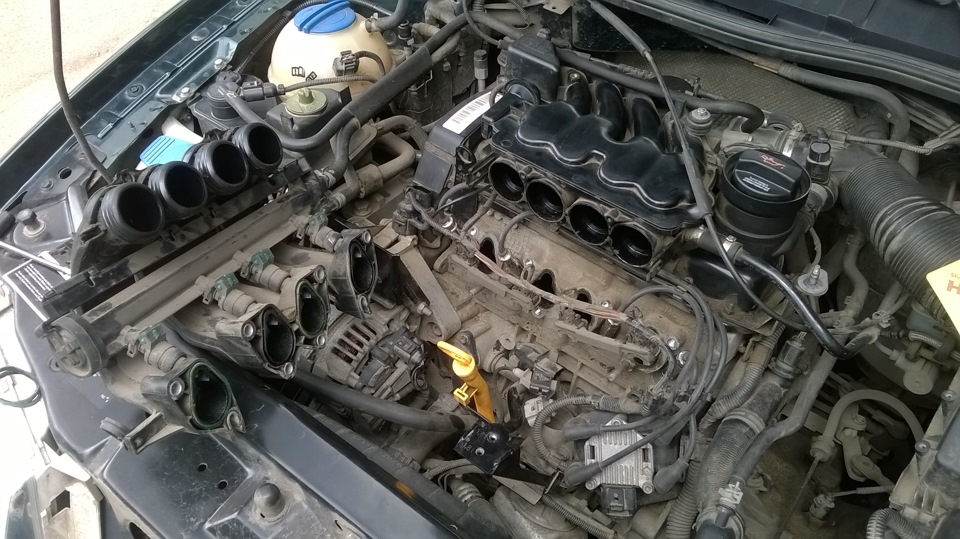 грязюка…кстати, прокладки за 130 ткм были вовсе не дубовые, но, коли куплены новые — меняем!) — Skoda Octavia A4 Mk1