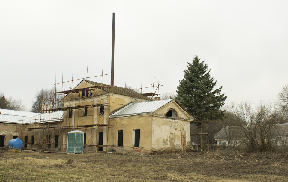 Единственная сохранившаяся ель, почему ее не тронули жуки никто не понял. — УАЗ 315195 Hunter