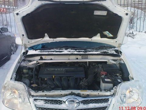 Hood Strut - Toyota Corolla 18L 2003