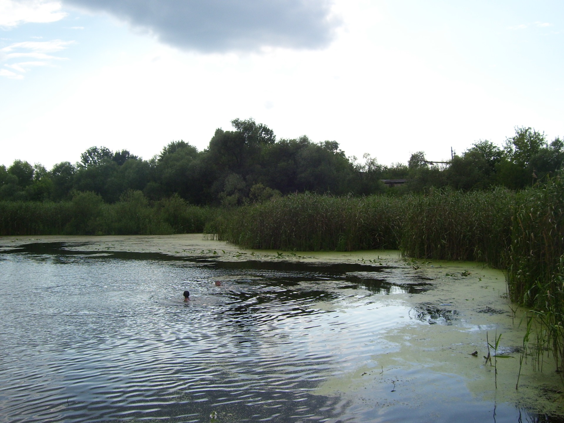 погода в березовой луке духовницкого