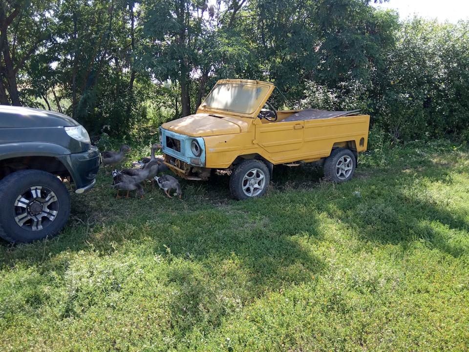 проблемка — ЛуАЗ 969, 1,2 л., 1985 года | просто так | DRIVE2