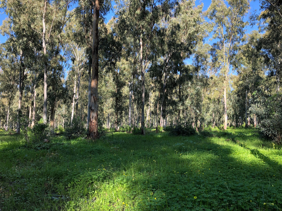 Фото в бортжурнале Suzuki Jimny (1G)