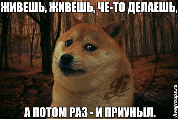 приуныл чет картинки приуныл чет картинки