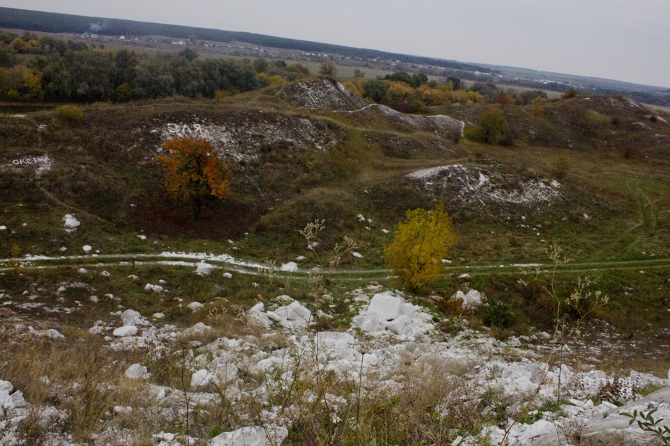 Дом В Хохольском Районе Купить Костенки