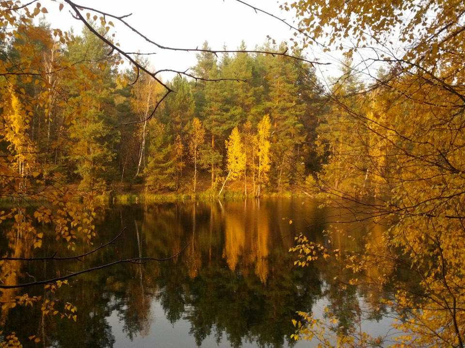 Приглашаем на выезд. Небольшое бездорожье. — Сообщество «DriveCore ...