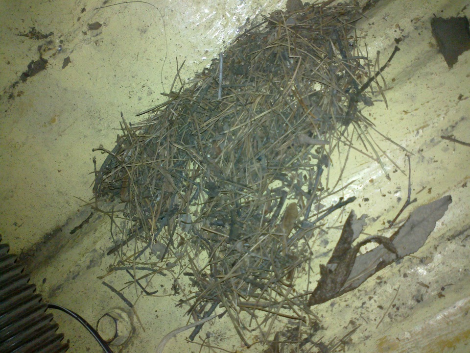 Не забываем чистить отопитель — УАЗ 31512, 2,4 л, 1996 года | своими ...